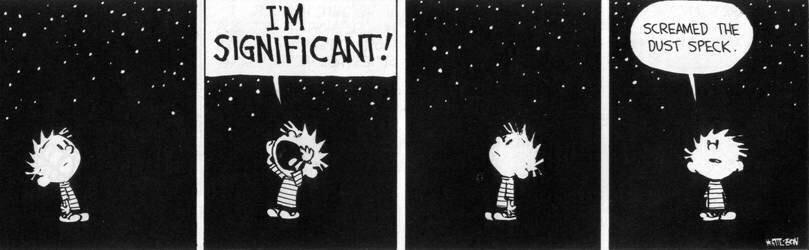 Insignificant Speck of Dust